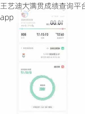 王艺迪大满贯成绩查询平台app