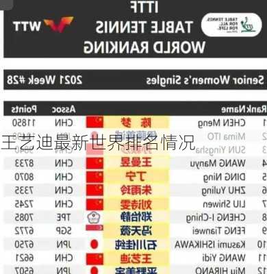 王艺迪最新世界排名情况