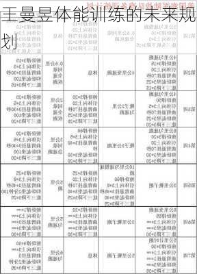 王曼昱体能训练的未来规划