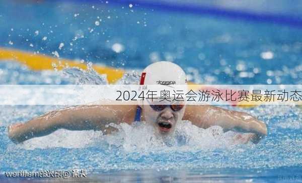 2024年奥运会游泳比赛最新动态