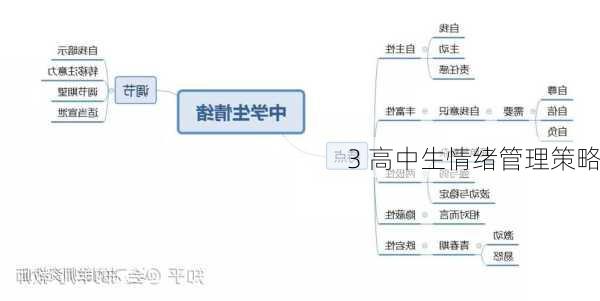 3 高中生情绪管理策略