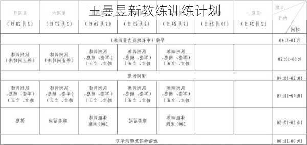 王曼昱新教练训练计划