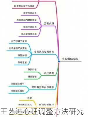 王艺迪心理调整方法研究