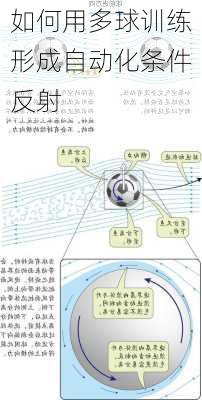 如何用多球训练形成自动化条件反射