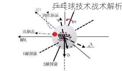 乒乓球技术战术解析