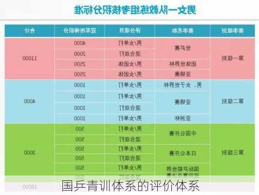 国乒青训体系的评价体系