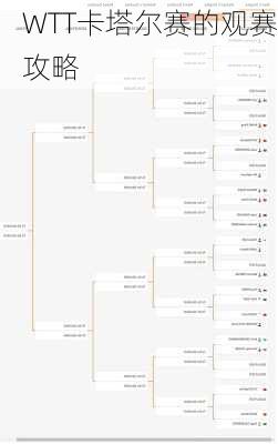 WTT卡塔尔赛的观赛攻略