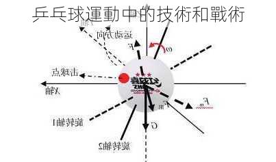 乒乓球運動中的技術和戰術