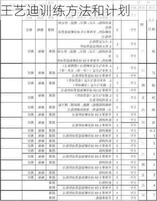 王艺迪训练方法和计划