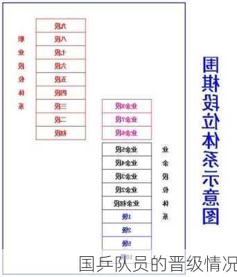 国乒队员的晋级情况