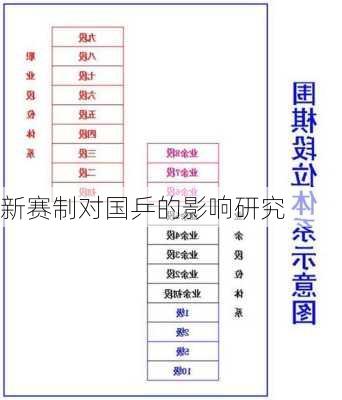 新赛制对国乒的影响研究