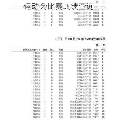 运动会比赛成绩查询