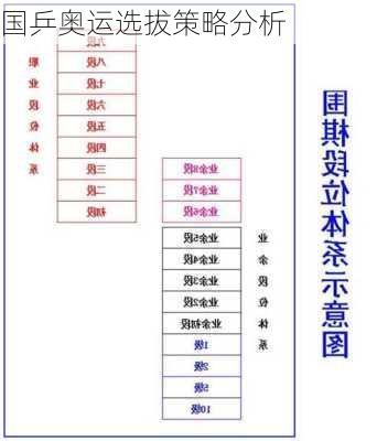 国乒奥运选拔策略分析