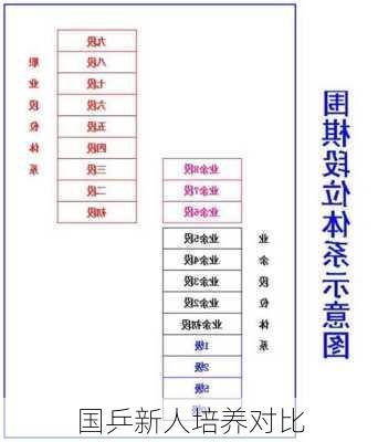 国乒新人培养对比