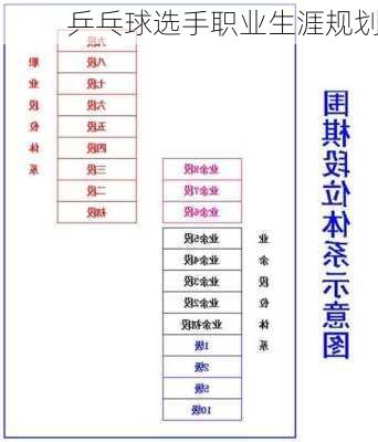 乒乓球选手职业生涯规划