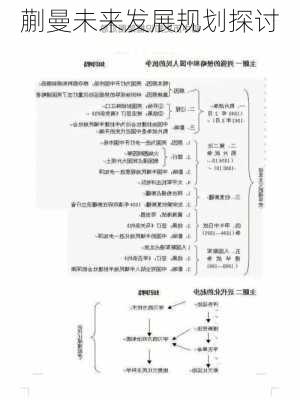 蒯曼未来发展规划探讨