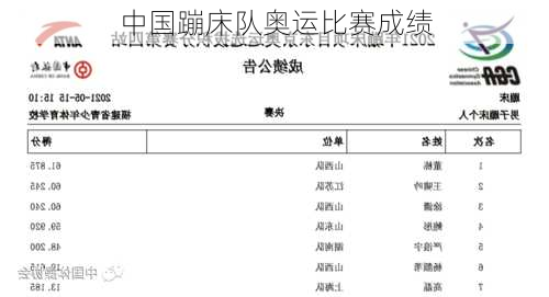 中国蹦床队奥运比赛成绩