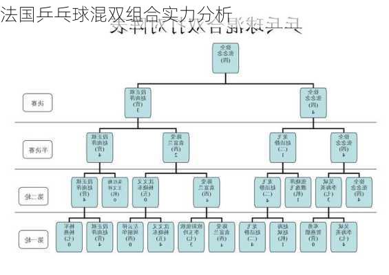 法国乒乓球混双组合实力分析