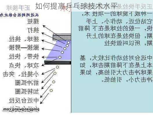 如何提高乒乓球技术水平