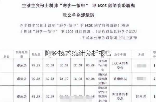 陈梦技术统计分析报告