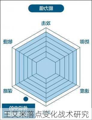 王艾米落点变化战术研究