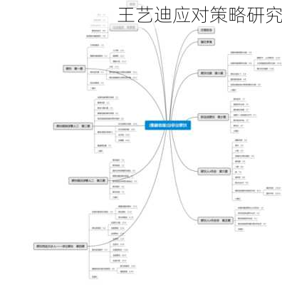 王艺迪应对策略研究