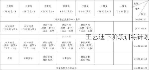 王艺迪下阶段训练计划