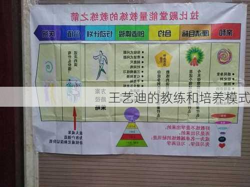 王艺迪的教练和培养模式