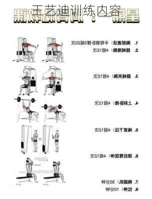 王艺迪训练内容