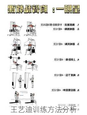 王艺迪训练方法分析