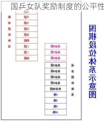 国乒女队奖励制度的公平性