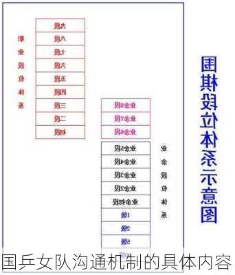 国乒女队沟通机制的具体内容