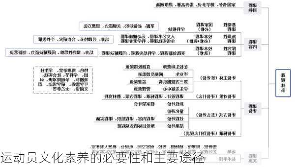 运动员文化素养的必要性和主要途径