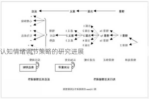 认知情绪调节策略的研究进展