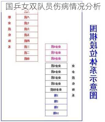 国乒女双队员伤病情况分析