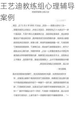 王艺迪教练组心理辅导案例