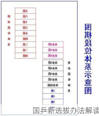 国乒新选拔办法解读