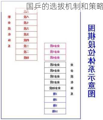 国乒的选拔机制和策略