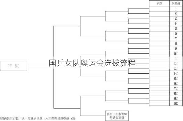 国乒女队奥运会选拔流程