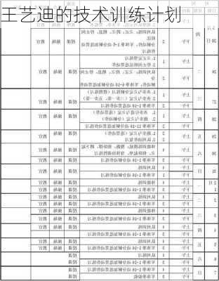 王艺迪的技术训练计划