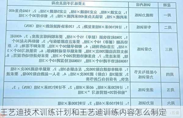 王艺迪技术训练计划和王艺迪训练内容怎么制定