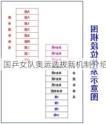 国乒女队奥运选拔新机制介绍