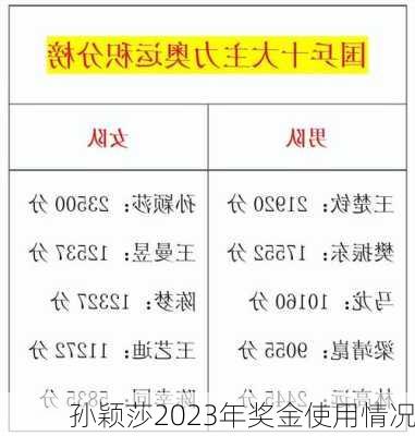 孙颖莎2023年奖金使用情况