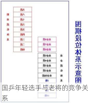 国乒年轻选手与老将的竞争关系