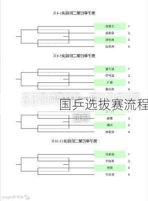 国乒选拔赛流程