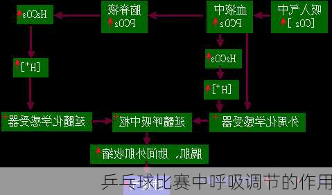 乒乓球比赛中呼吸调节的作用