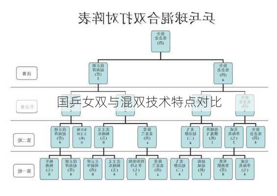 国乒女双与混双技术特点对比