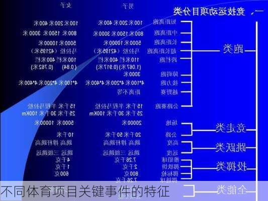 不同体育项目关键事件的特征