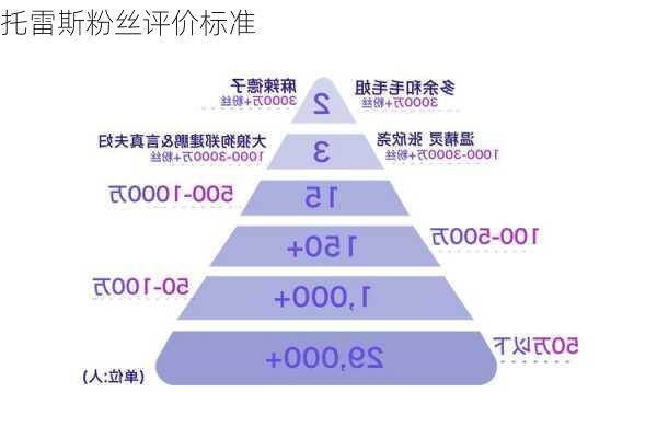 托雷斯粉丝评价标准