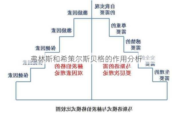 弗林斯和希策尔斯贝格的作用分析